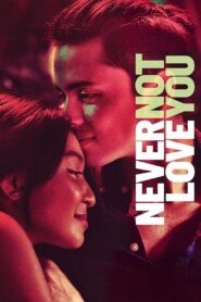 Never Not Love You (2018)