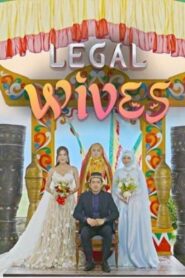 Legal Wives: Season 1