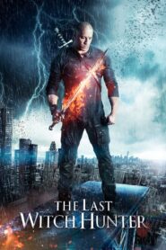 The Last Witch Hunter (2015)