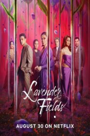 Lavender Fields: Season 1