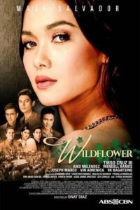 Wildflower: Season 1